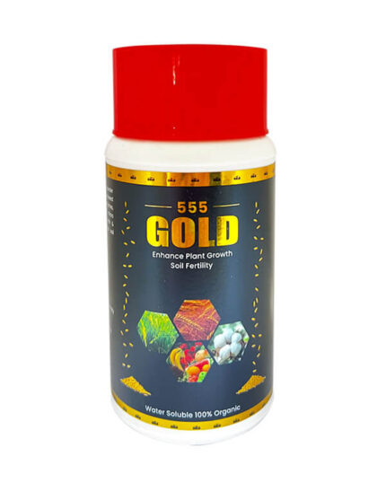 555 Gold