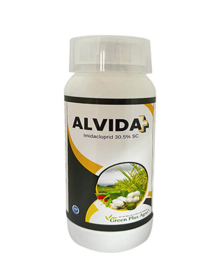 Alvida Plus