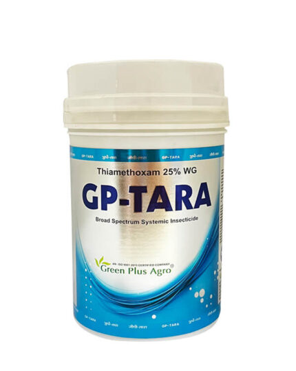 GP-Tara