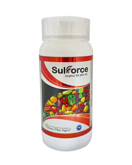 Sulfforce