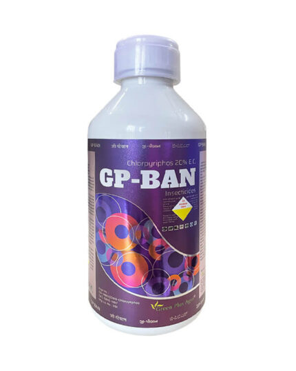 GP-BAN