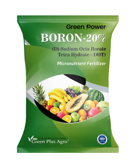 GP Boron