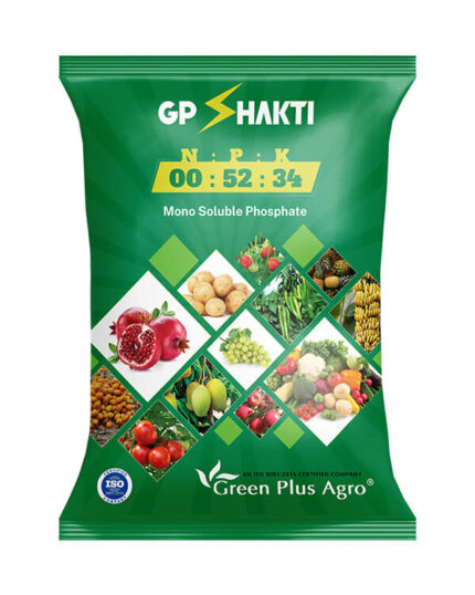 GS NPK 005234