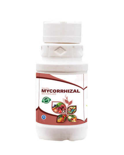 Mycorrhizal
