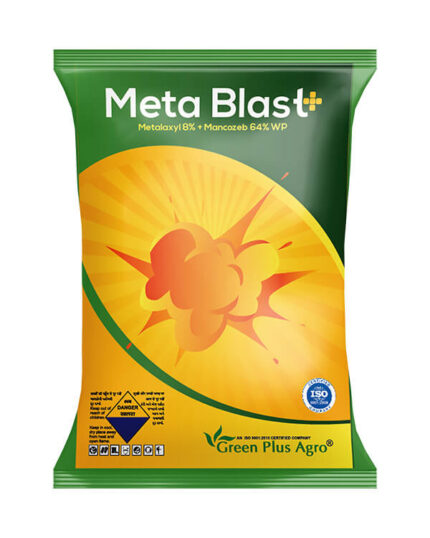 Meta Blast +