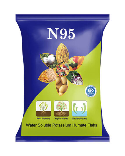 N95