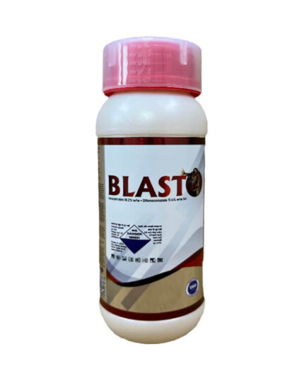Blasto