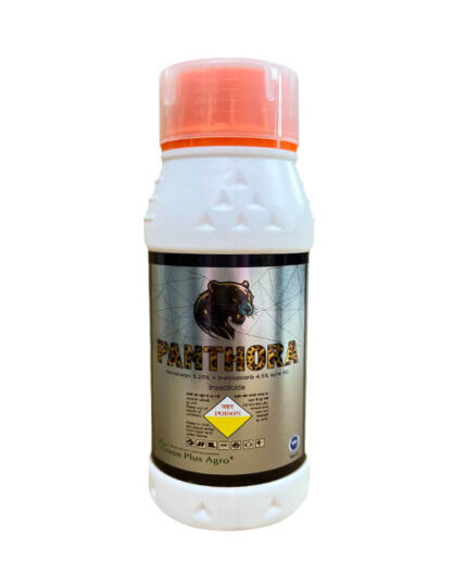 Panthora