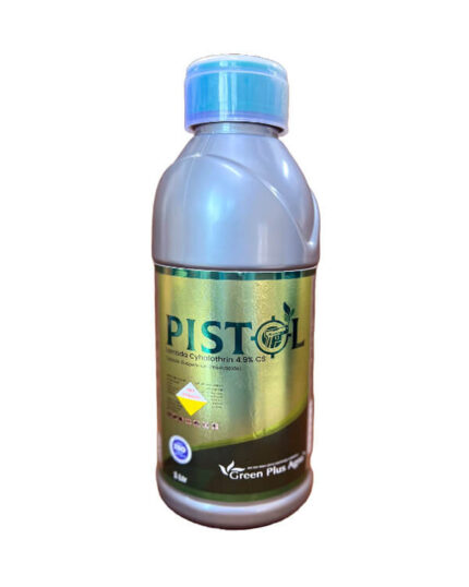 Pistol