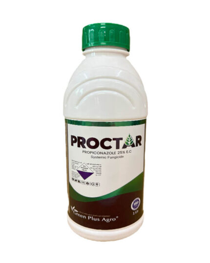 Proctar