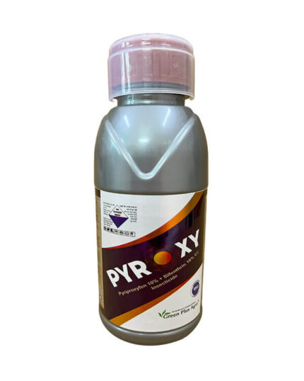 Pyroxy