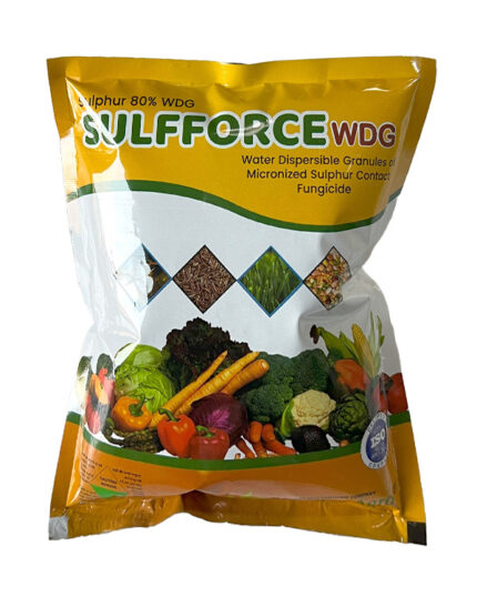 Sulfforce