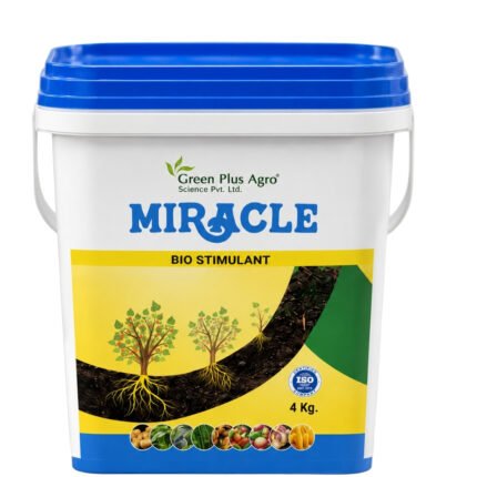 MIRACLE
