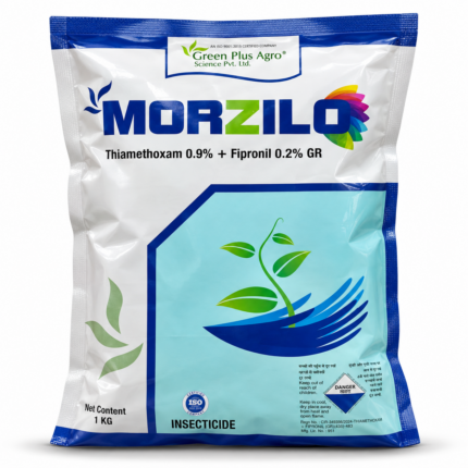 MORZILO