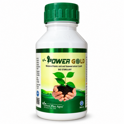 POWER GOLD