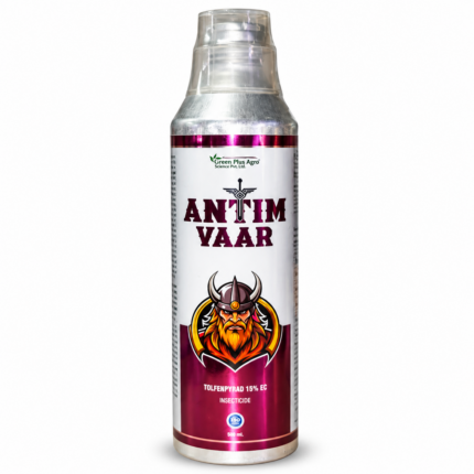 ANTIM VAAR